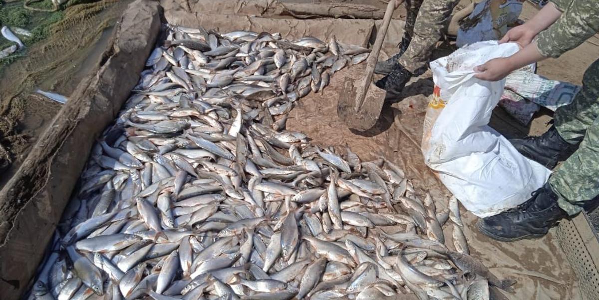 45 западноказахстанцев наказали за рыбалку