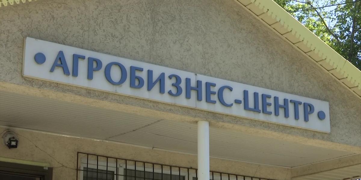 Алматы облысында ауыл кәсіпкерлерін қолдауға арналған азаматтық форум өтті