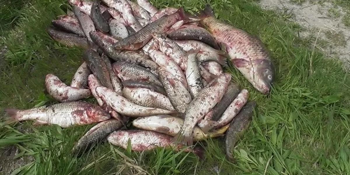 Ловил на «ракету»: за незаконную рыбалку осудили жителя ВКО