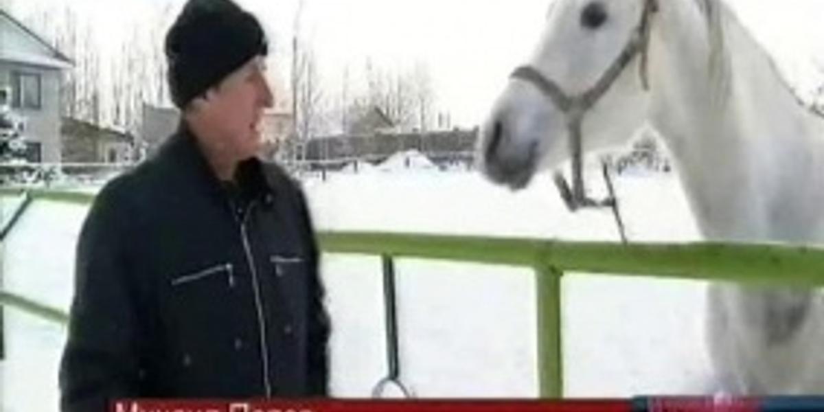  В Казахстане для развития ценных пород лошадей необходимы ипподромы, - эксперты