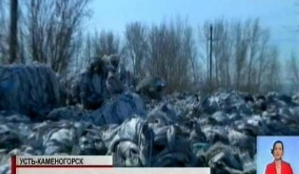 На окраине Усть-Каменогорска обнаружили свалку неизвестных химикатов