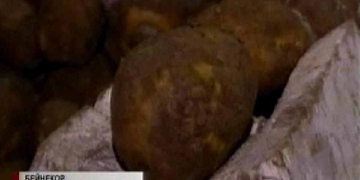 Қырғызстаннан картоп әкеліп саудалауға уақытша тиым салынды