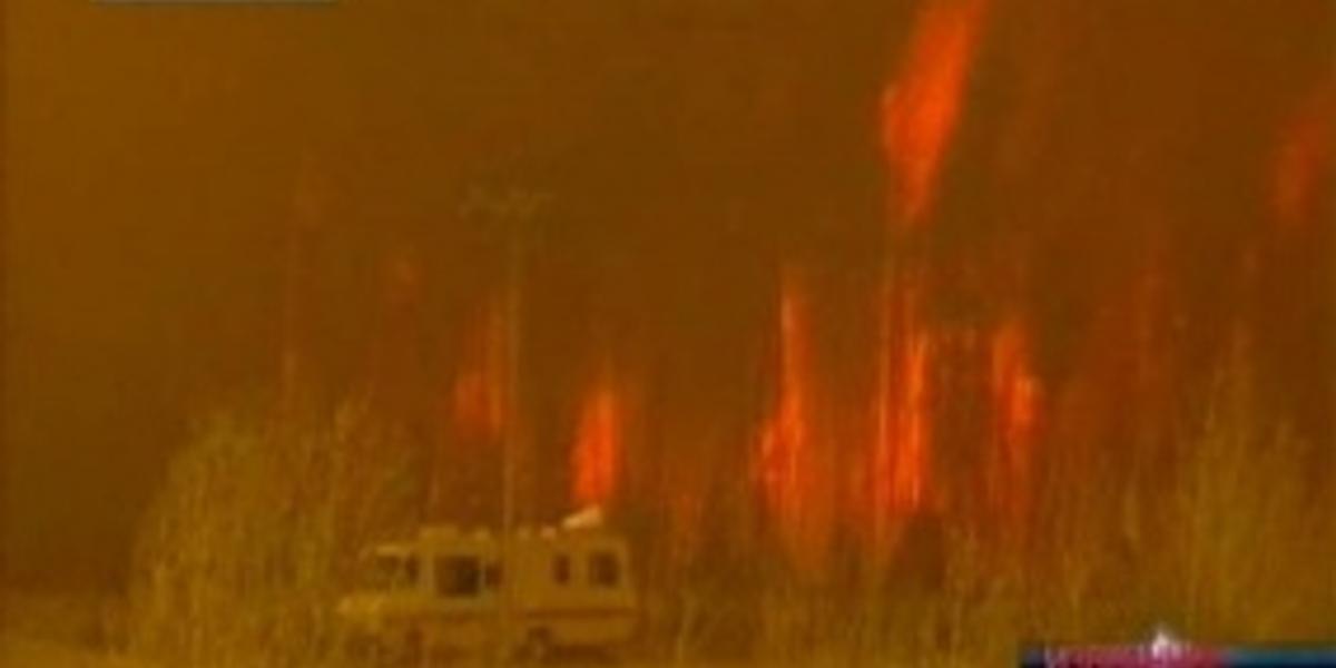  Ущерб от лесных пожаров в Канаде составил 9 млрд долларов