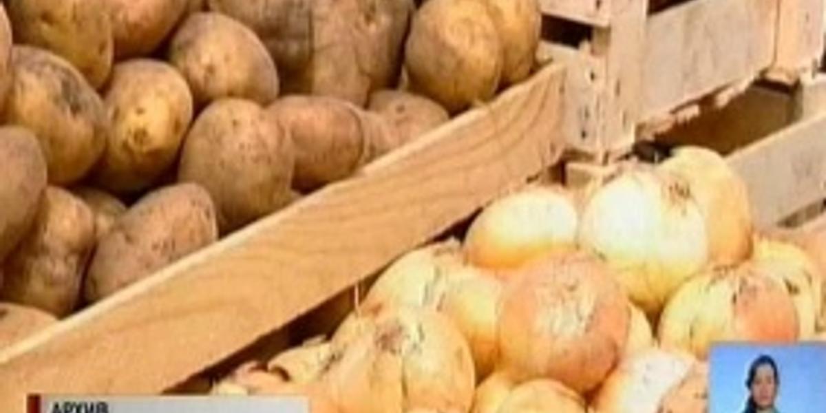 Запрет на ввоз кыргызского картофеля в Казахстан может быть снят в июне