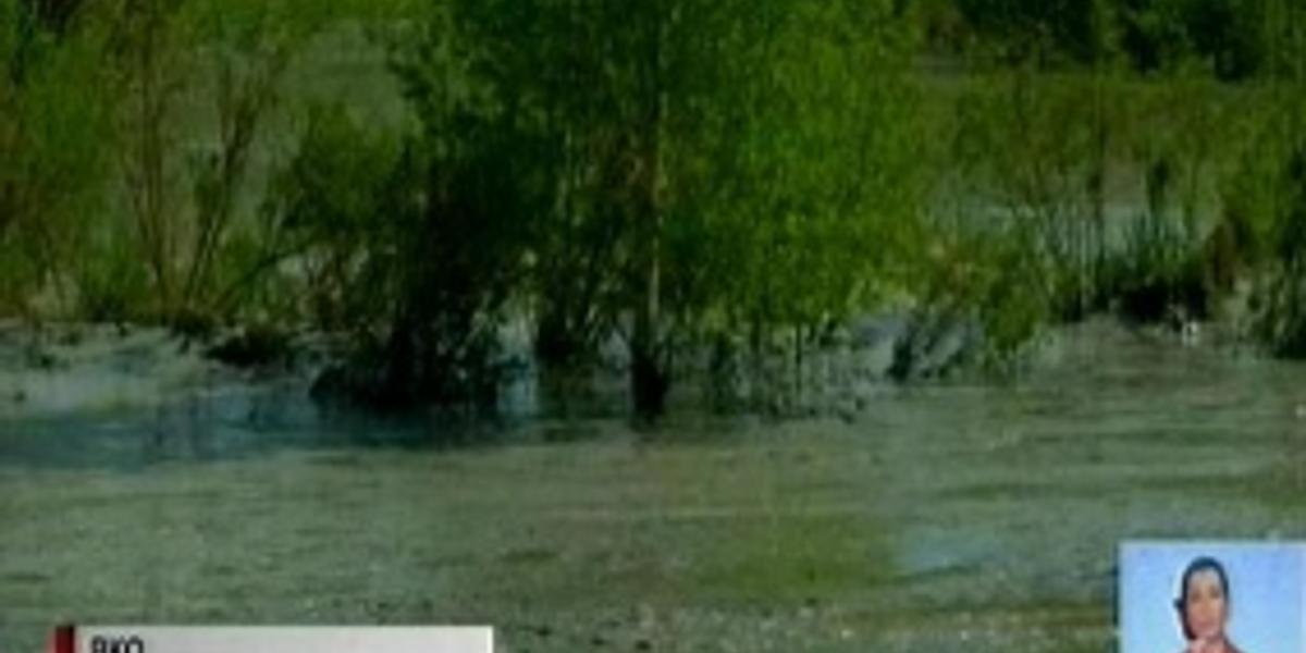 Питьевая вода в Риддере и Усть-Каменогорске не загрязнена стоками после аварии,  - эколог 