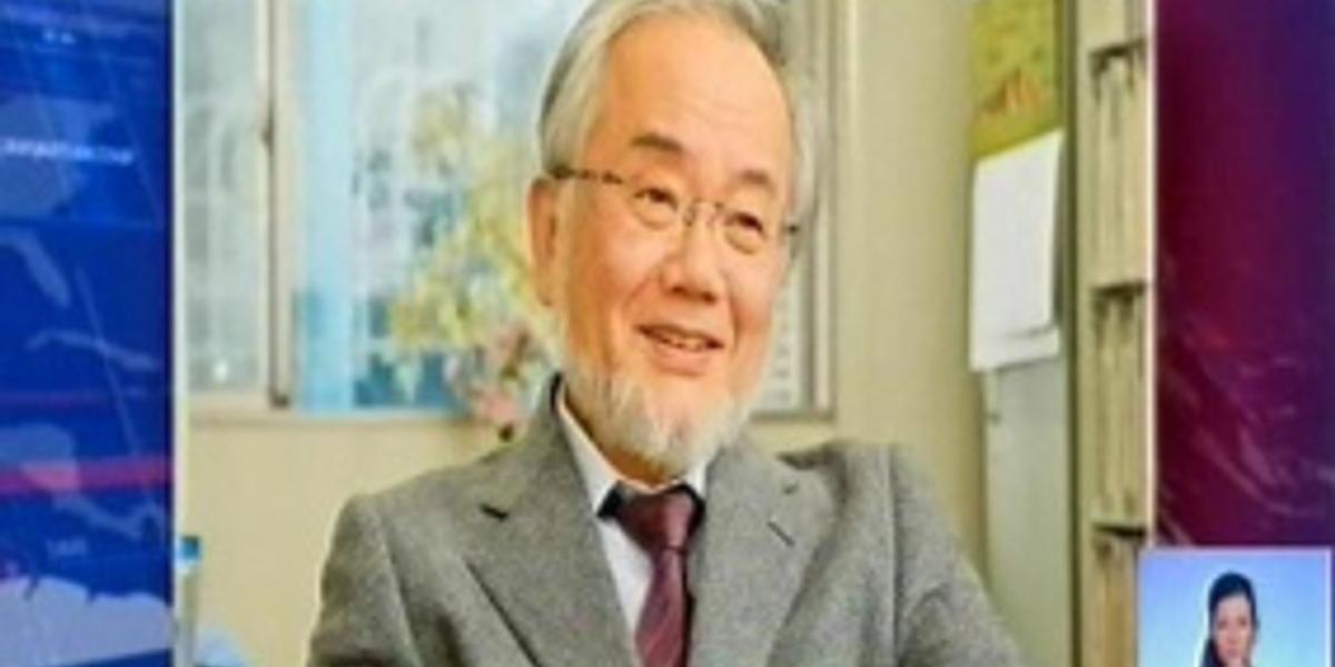 Нобелевская премия по медицине присуждена ученому из Японии 