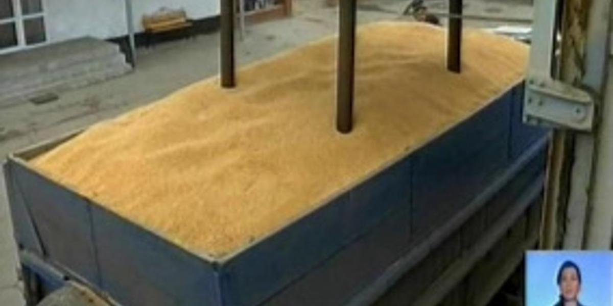 Китайские предприниматели готовы купить у казахстанских сельхозпроизводителей до 500 тысяч тонн зерновых