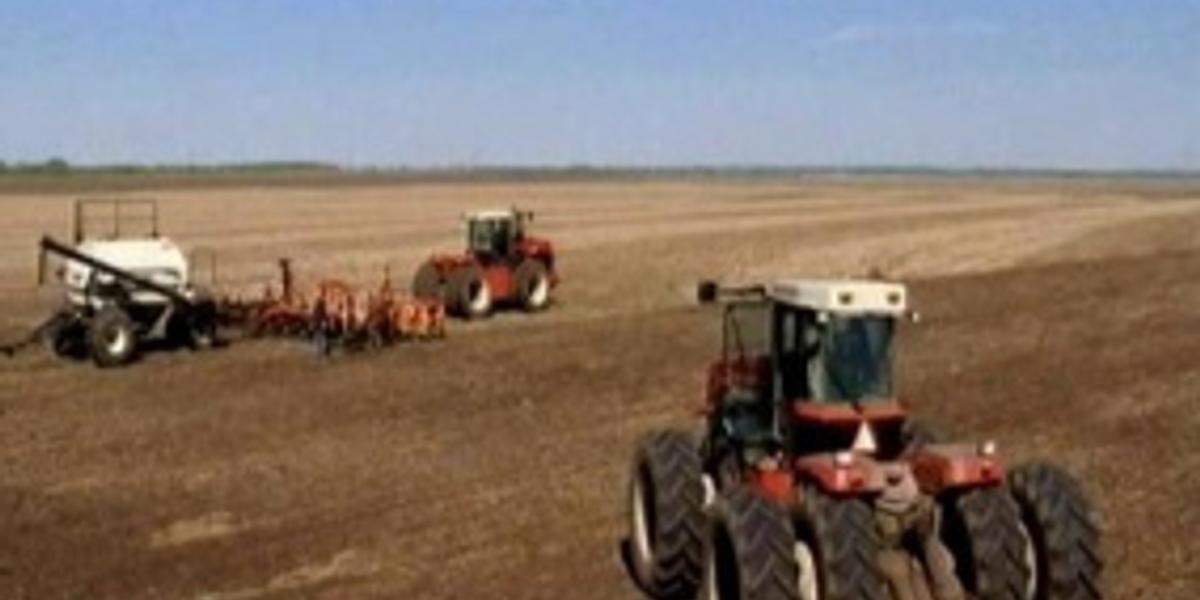 Солтүстік Қазақстан облысы 4 миллион гектар жерге егін егу жоспарланған