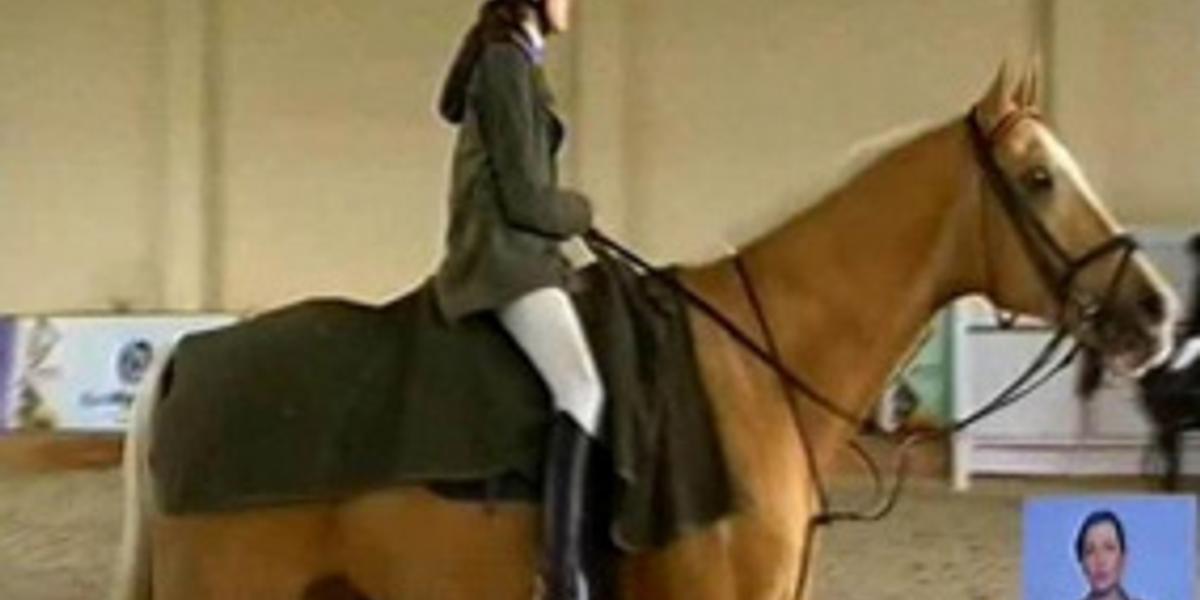 В Казахстане начали развивать конный спорт по олимпийской системе