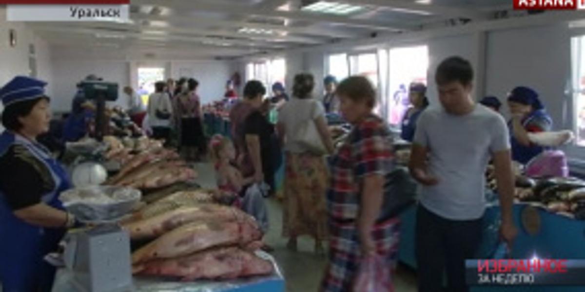 В Западно-Казахстанской области продолжает сокращаться рыбный запас