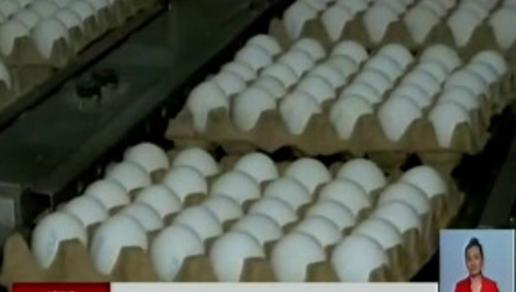 Экспорт казахстанского птичьего мяса и яиц в КНР под вопросом