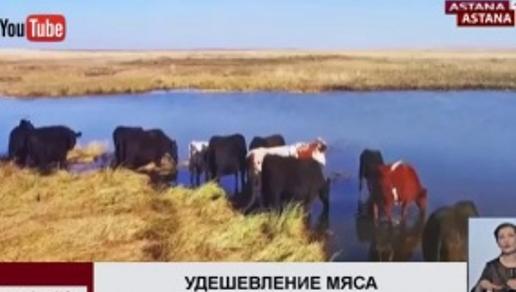 Промышленные производители говядины в Казахстане могут уменьшить себестоимость на 25% - гендиректор Мясного союза 