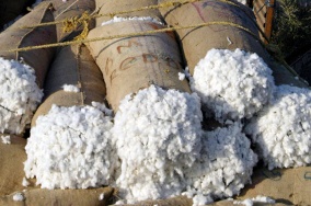 ÐÐ°ÑÑÐ¸Ð½ÐºÐ¸ Ð¿Ð¾ Ð·Ð°Ð¿ÑÐ¾ÑÑ ÐµÐ»ÐµÐ¼ÐµÑ ÑÐ°Ð±ÑÑÐ¾Ð²