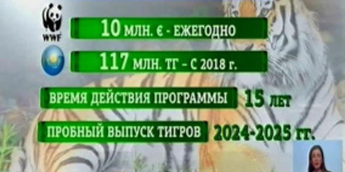 На возрождение тигров в Прибалхашье в 2018 году потратят 117 млн тенге 